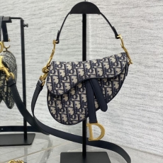 Christian Dior Saddle Bags